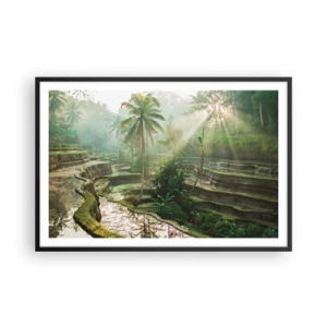 Poster in een zwarte lijst - Opgroeien in de zon - 91x61 cm