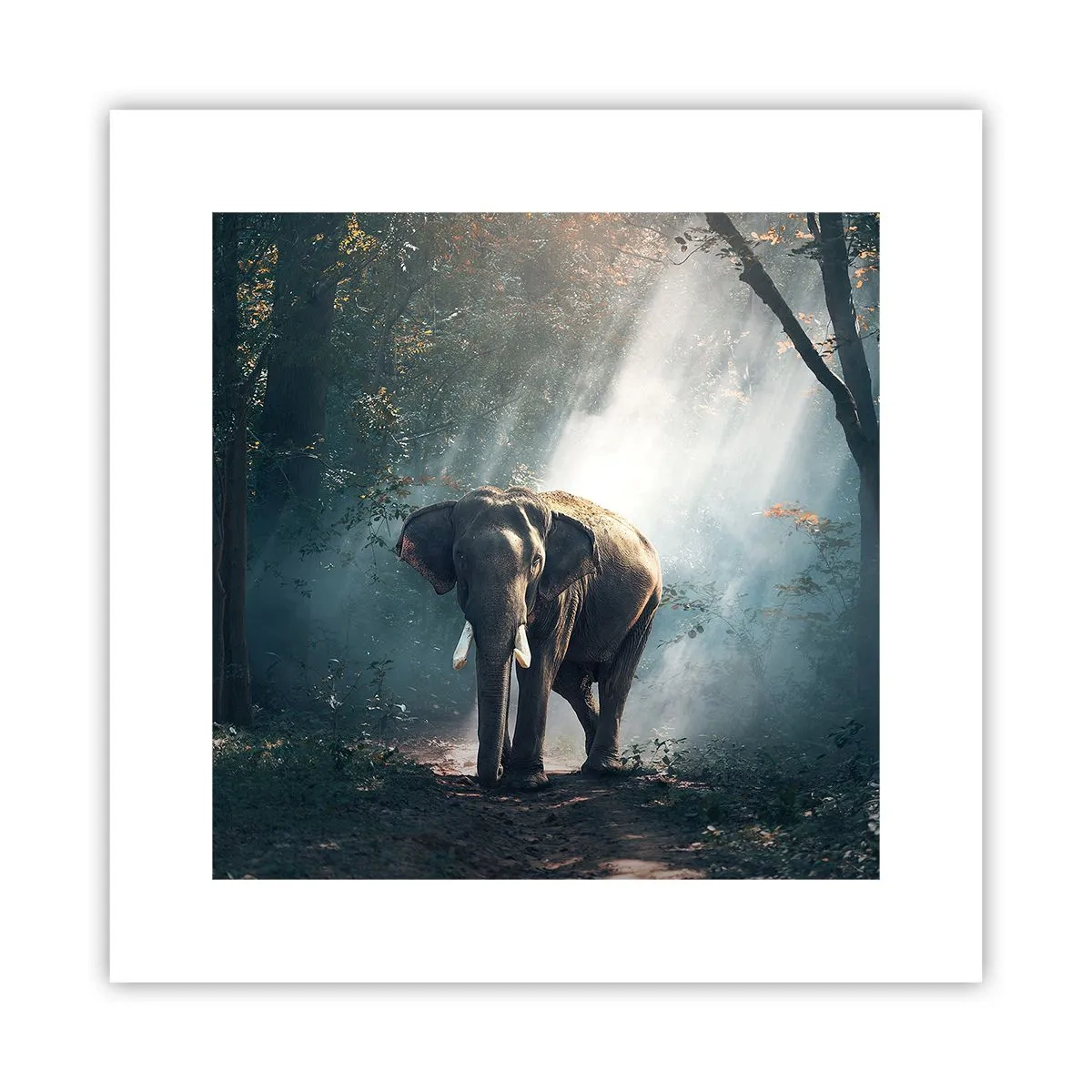 Poster - Een ontspannen wandeling - 30x30 cm