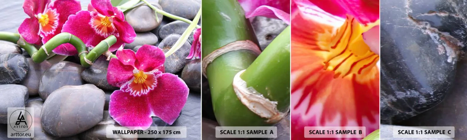 Fotobehang Staaltje Standard Eco - Kou en hitte - Bloemen, Stenen, Orchidee - 100x30 cm