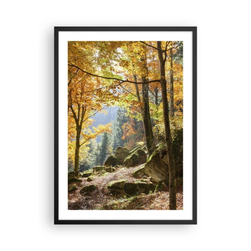 Poster in een zwarte lijst - Herfstbos met zonnestralen en met mos bedekte stenen - 50x70cm - Tijd om te ontspannen - Moderne wanddecoratie voor woonkamer en slaapkamer ARTTOR