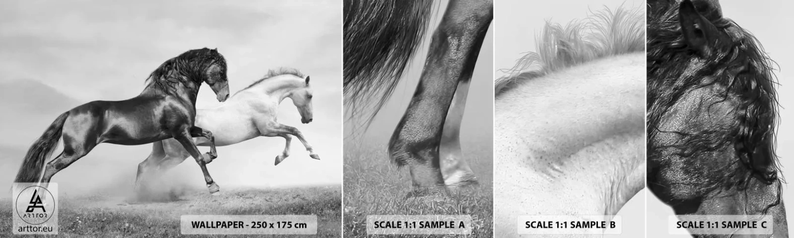 Fotobehang Monster Zelfklevend Deluxe Sticker - Engelen en duivels - Dieren, Paarden, Natuur - 100x30 cm