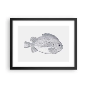 Poster in een zwarte lijst - Voor het album van de natuuronderzoeker - 40x30 cm