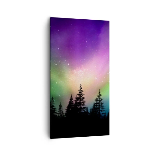 Schilderen op canvas - Witte magie - 55x100 cm