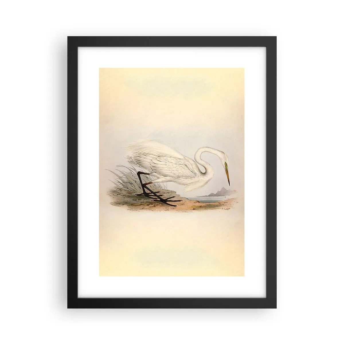 Poster in een zwarte lijst - Dame op de biezen - 30x40 cm