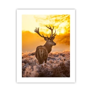 Poster - Koning van het herfstbos - 40x50 cm