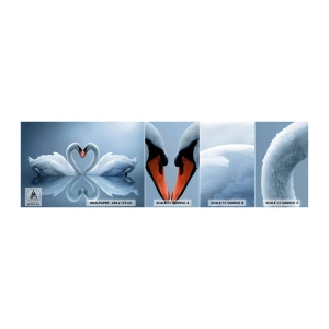 Fotobehang Monster Zelfklevend Deluxe Sticker - Tijd voor liefde - Zwanen, Liefde, Hart - 100x30 cm