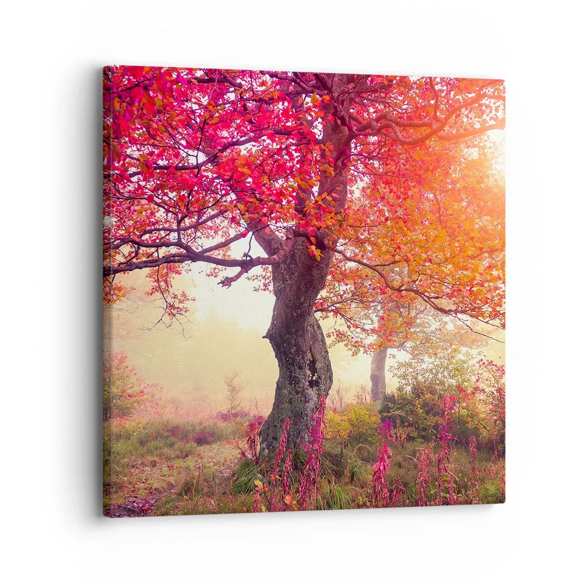 Schilderen op canvas - Bloeiende razernij - 30x30 cm