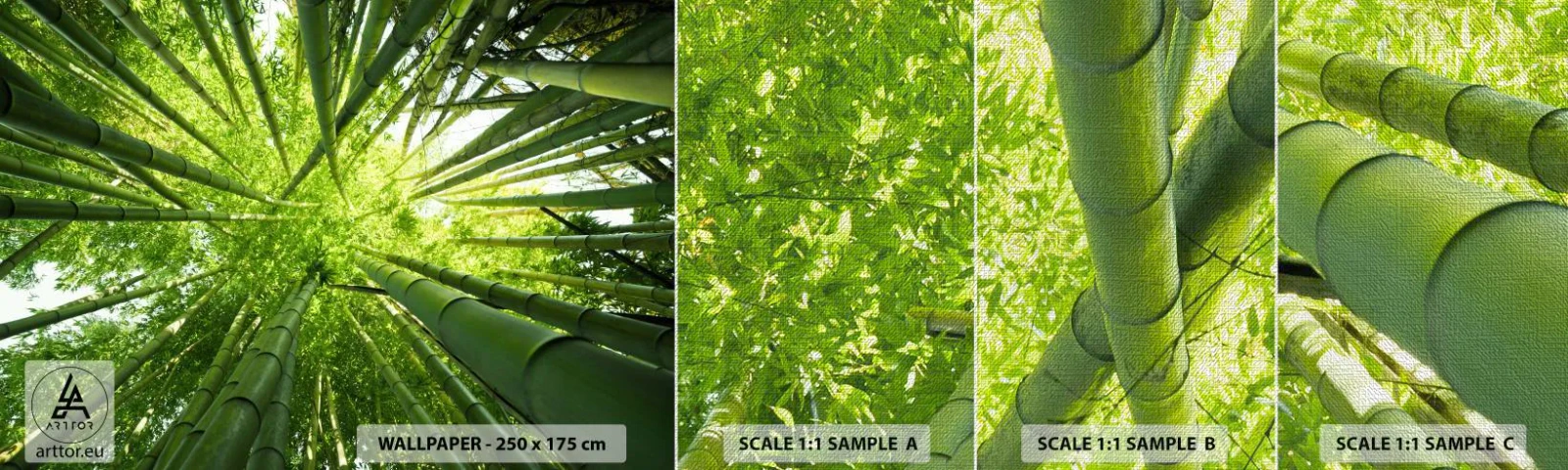 Fotobehang Monster Premium Canvas - In een bamboebos - Bamboo Bos, Oerwoud, Bamboe - 100x30 cm