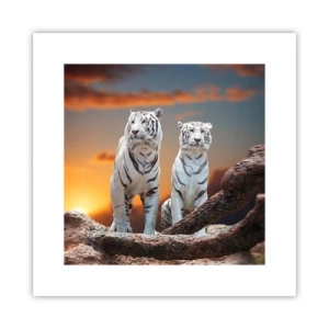 Poster - Net als in Narnia - 30x30 cm