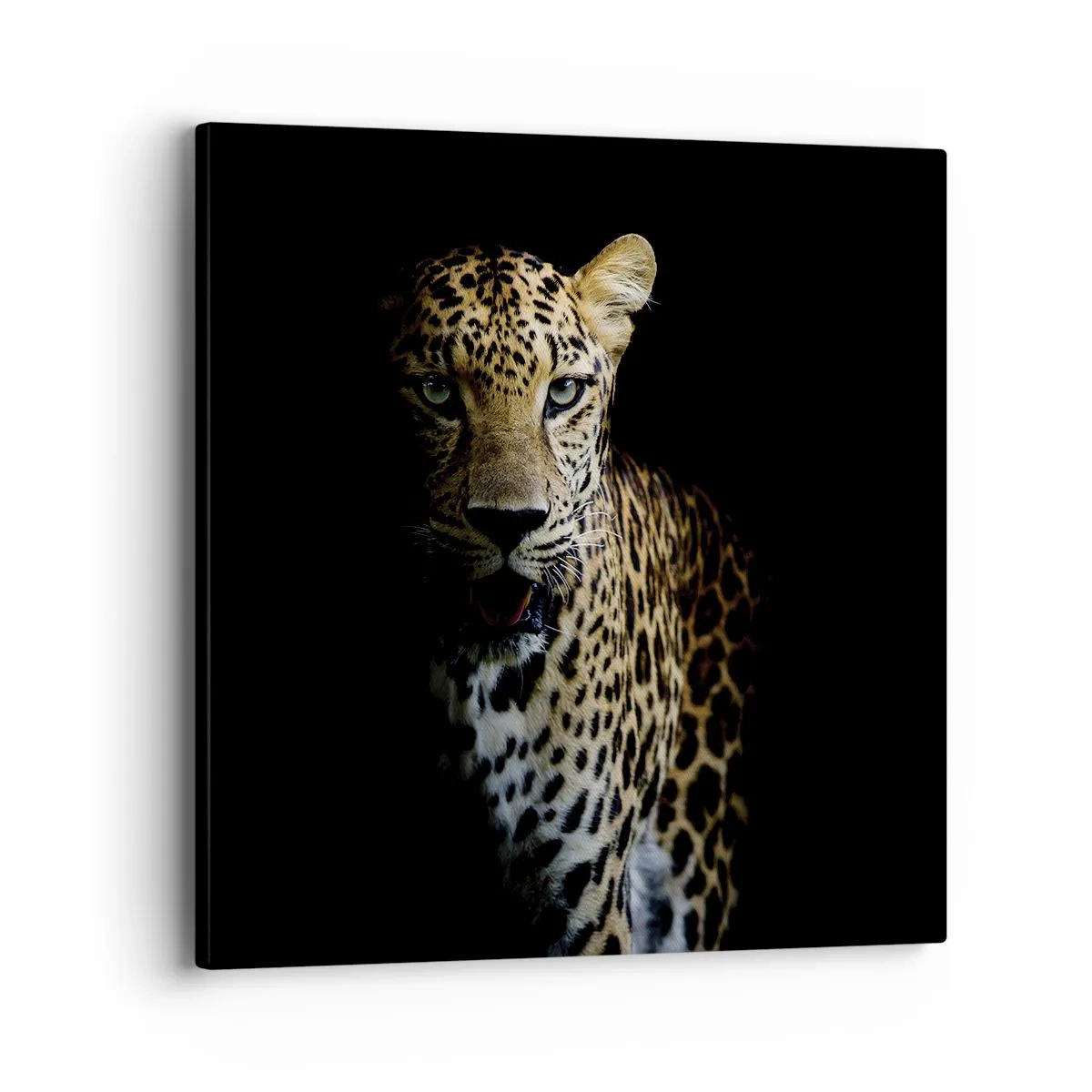 Schilderen op canvas - Donkere schoonheid - 40x40 cm