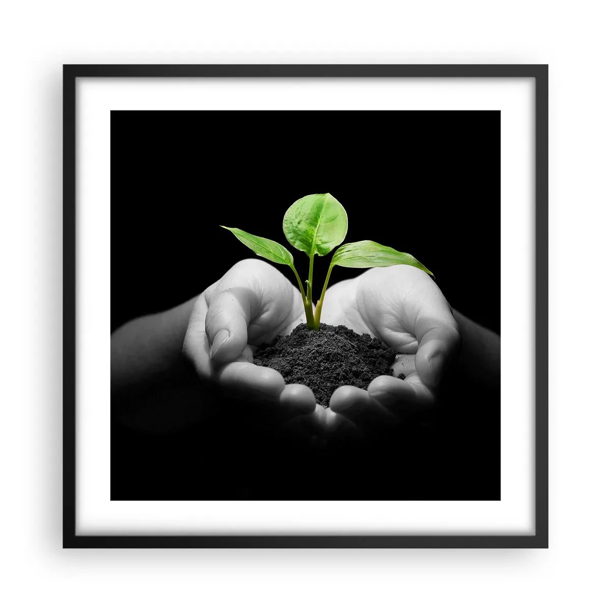 Poster in een zwarte lijst - Ik hou van de natuur, ik bescherm haar - 50x50 cm