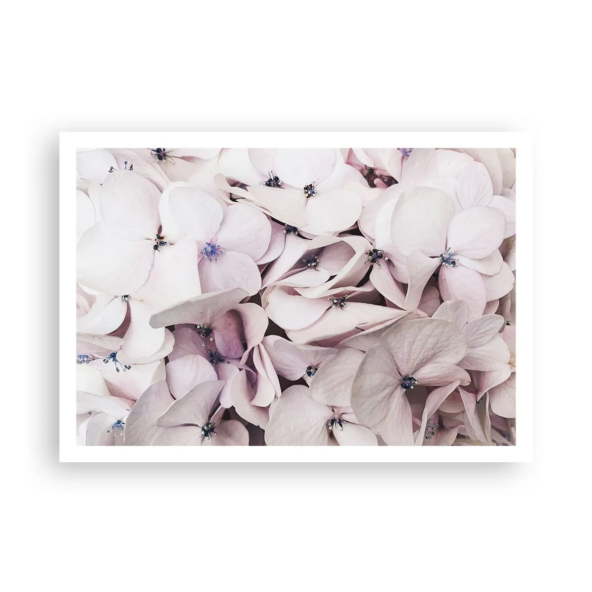 Poster - In een vloed van bloemen - 100x70 cm