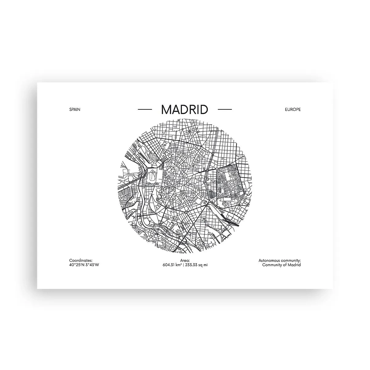 Poster - Anatomie van Madrid - 100x70 cm