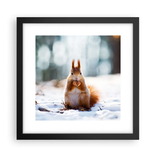 Poster in een zwarte lijst - Waar kijk je naar? - 30x30 cm