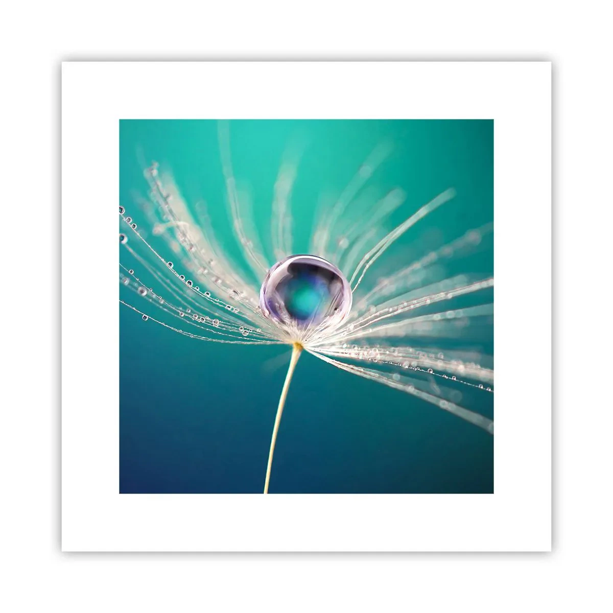 Poster - Mystiek moment - 30x30 cm
