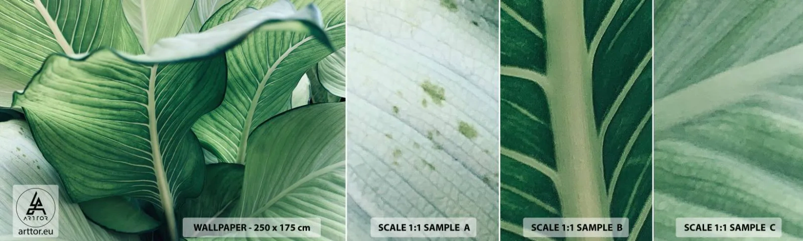 Fotobehang Staaltje Standard Eco - Intens groen leven - Bladeren, Exotisch, Botanisch - 100x30 cm