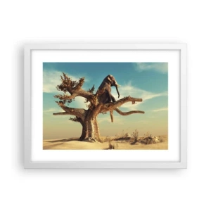 Poster in een witte lijst - Een nieuw gezichtspunt - 40x30 cm