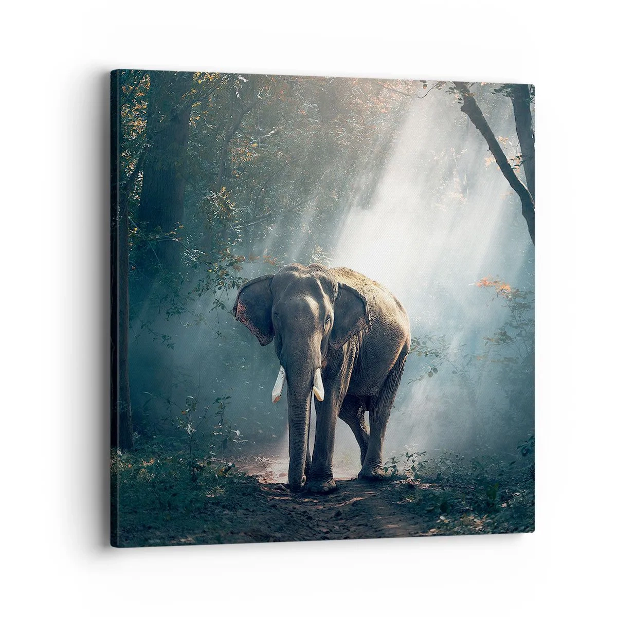 Schilderen op canvas - Een ontspannen wandeling - 40x40 cm