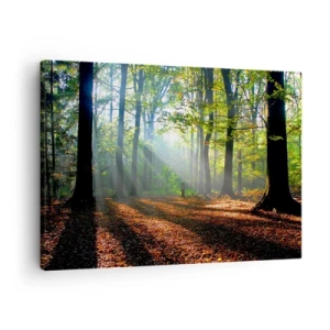 Schilderen op canvas - Een bosopen plek verlicht door de zonnestralen - 70x50cm - Lichten en schaduwen - Moderne wanddecoratie voor woonkamer en slaapkamer ARTTOR
