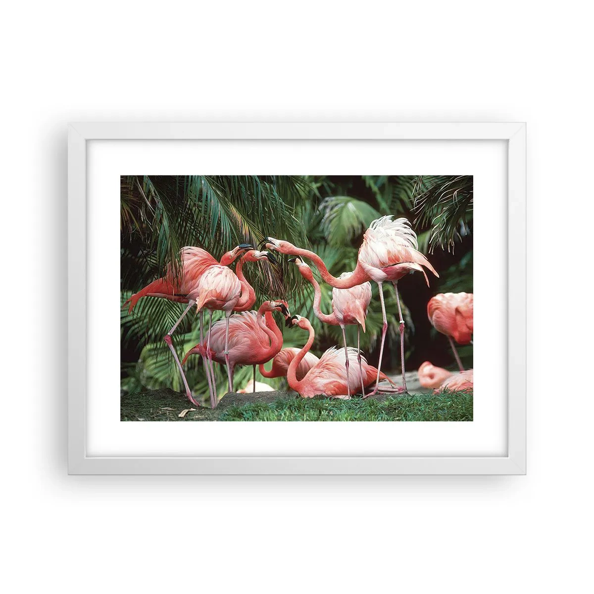 Poster in een witte lijst - Middag roddels - 40x30 cm
