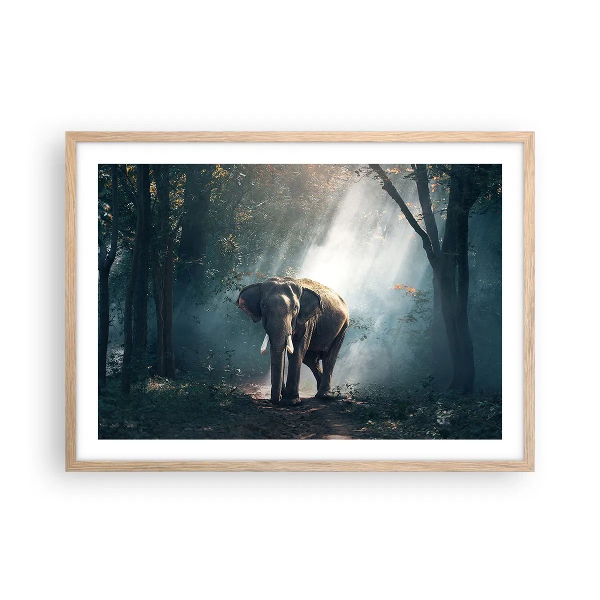 Een poster in een licht eiken lijst - Een ontspannen wandeling - 70x50 cm