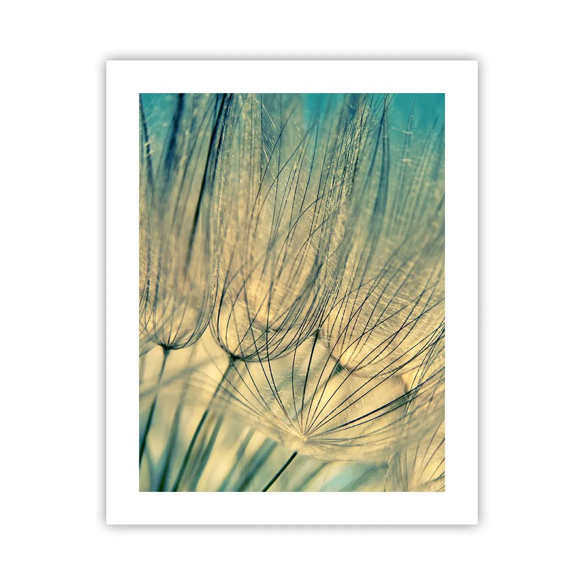 Poster - In afwachting van de wind - 40x50 cm