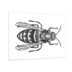 Schilderen op glas - Zwart-witte retro-illustratie van een wesp op een witte achtergrond - 70x50cm - Van een insectenplaneet - Moderne wanddecoratie voor woonkamer en slaapkamer ARTTOR