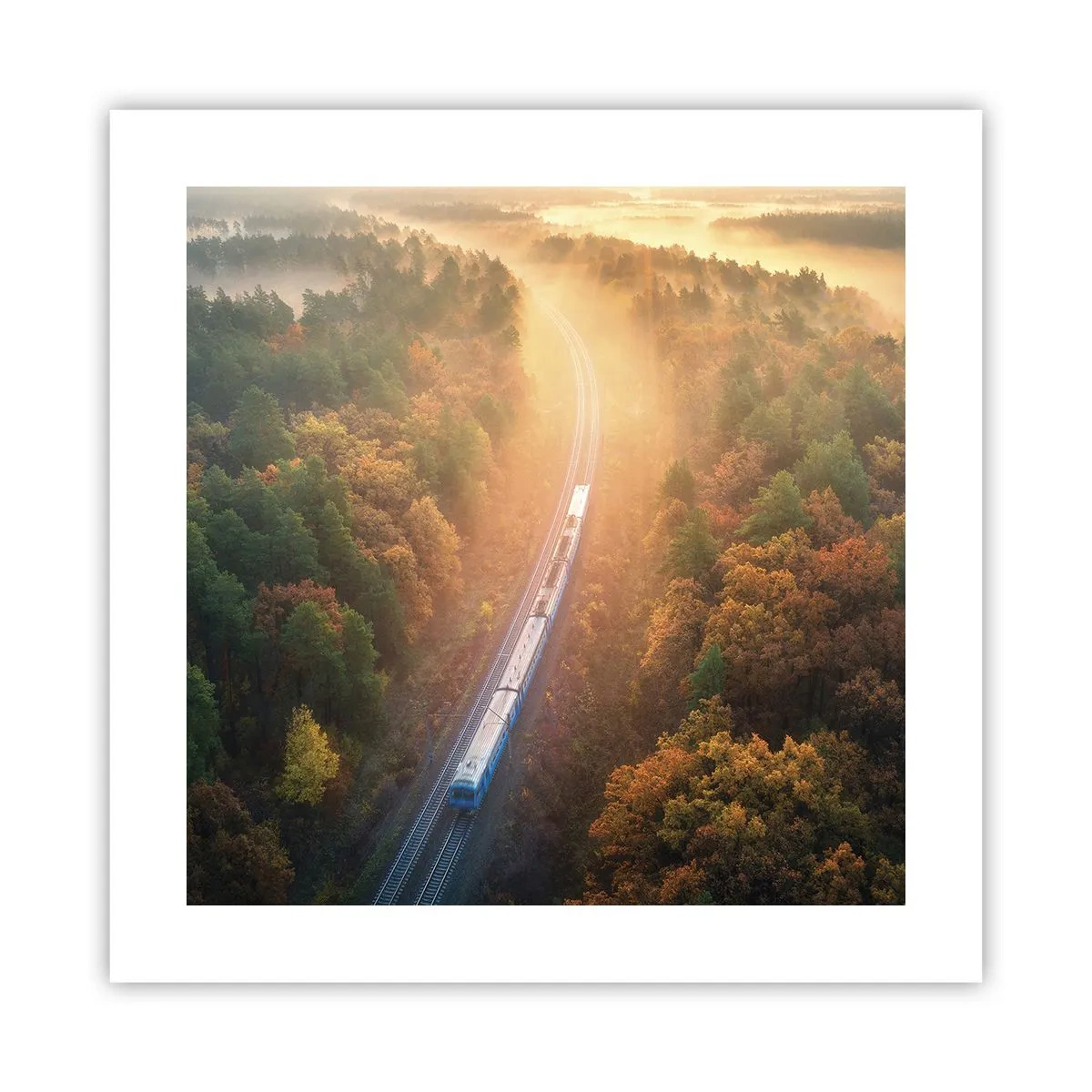 Poster - Herfst reis - 40x40 cm