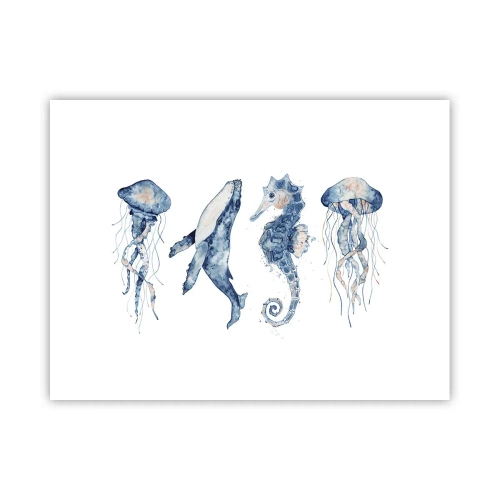 Poster - Zee wonderen - 40x30 cm