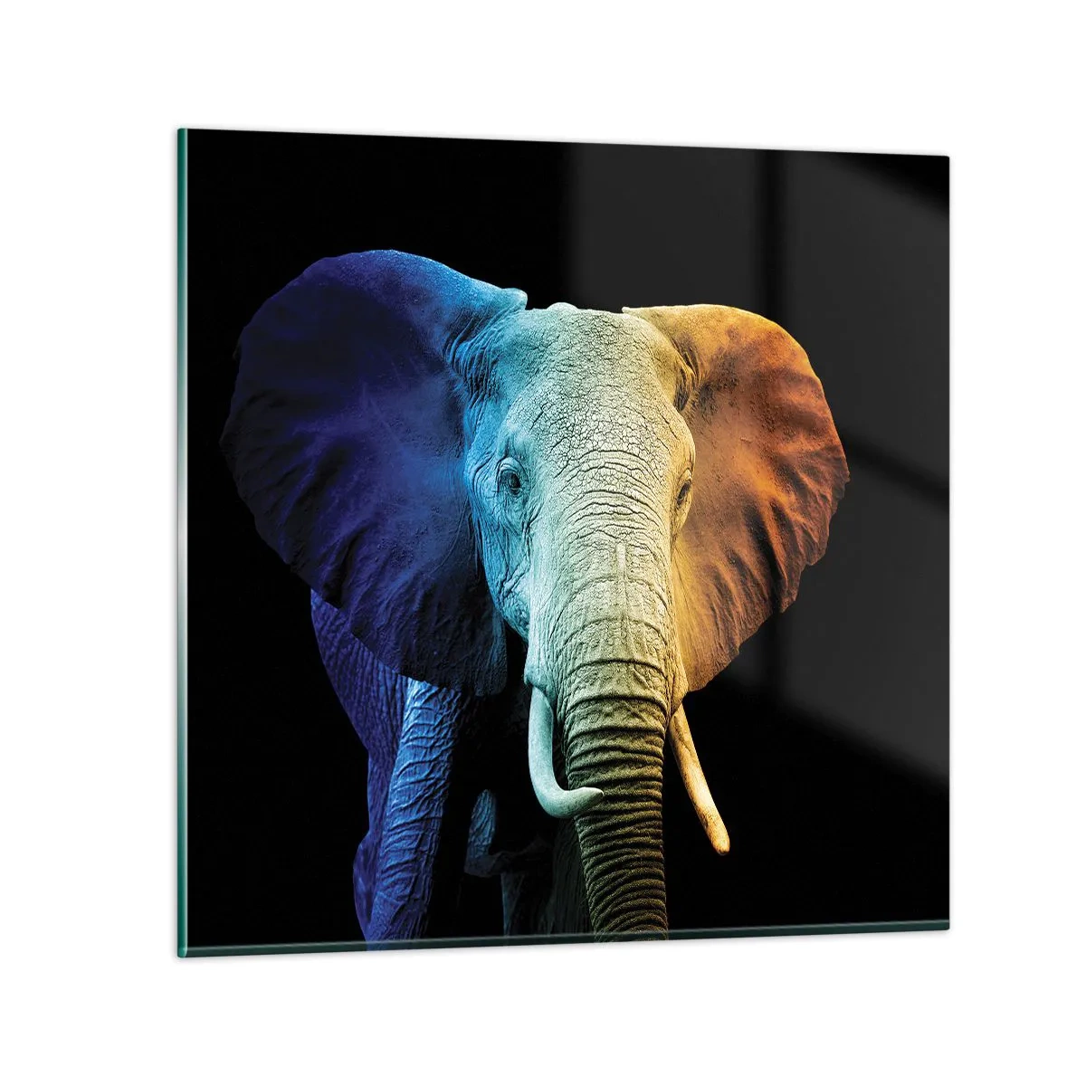 Schilderen op glas - Excentriek, niet raar - 50x50 cm