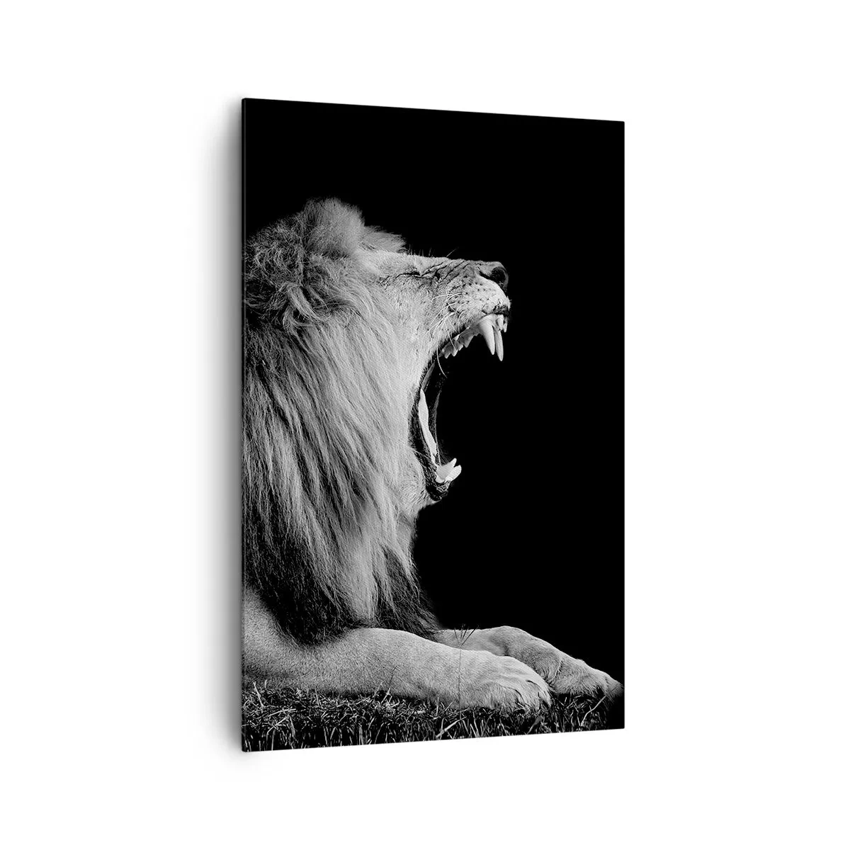 Schilderen op canvas - Zonder enige twijfel - 80x120 cm