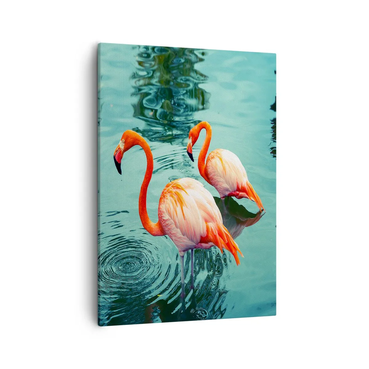Schilderen op canvas - We zijn nu in de mode - 50x70 cm