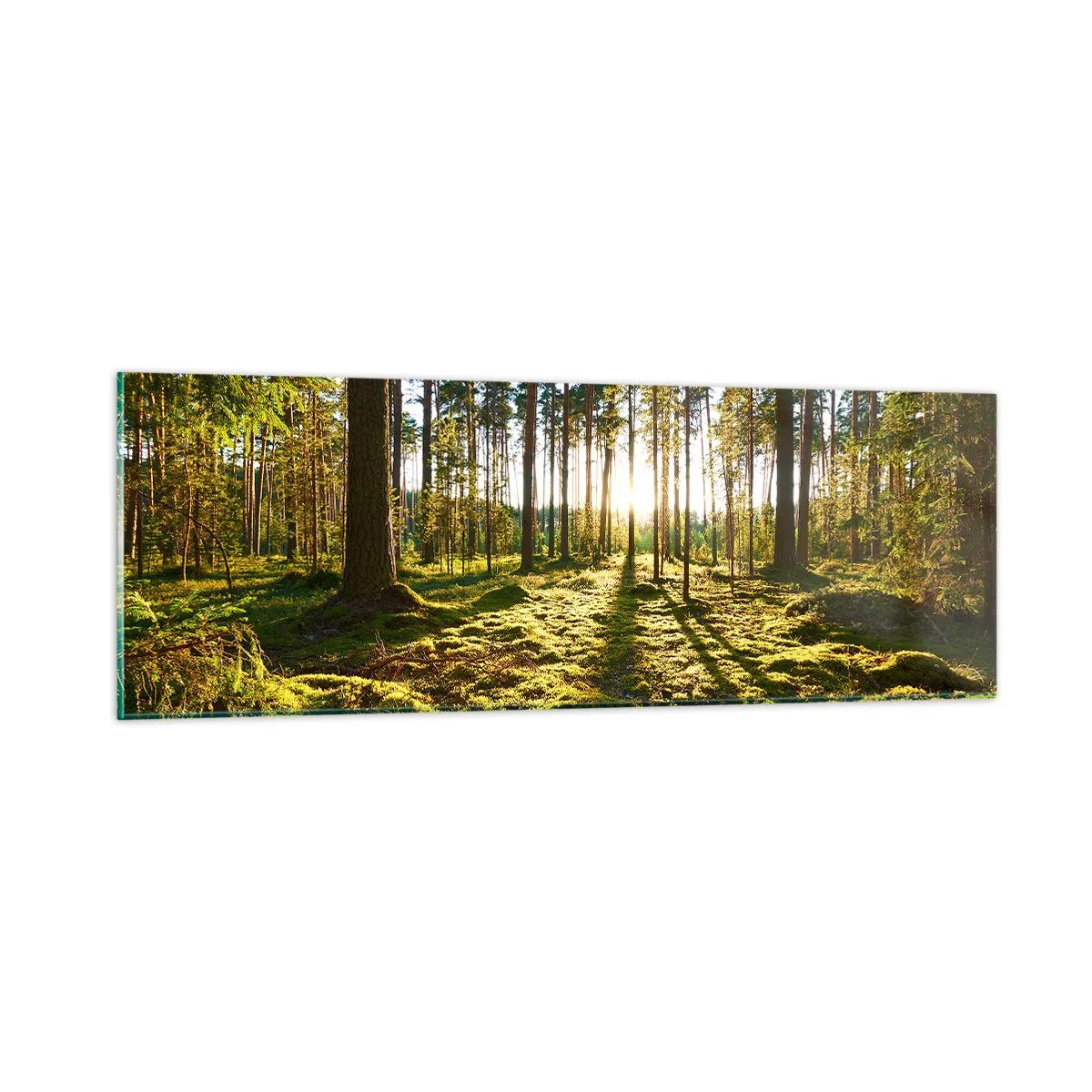 Schilderen op glas - … Achter de zeven bossen - 90x30 cm