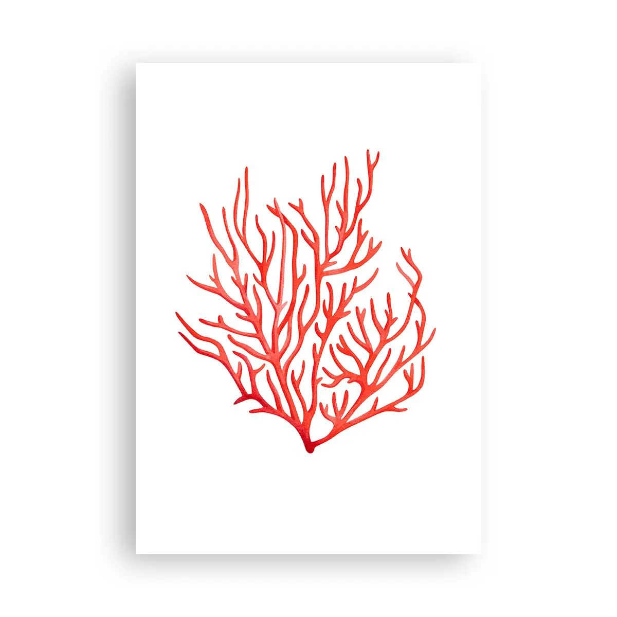 Poster - Koraal filigraan - 70x100 cm