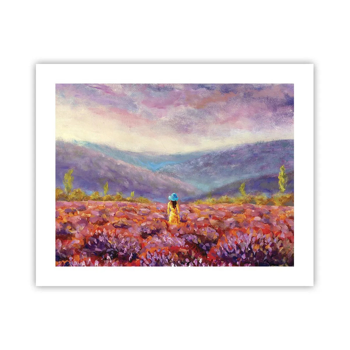 Poster - In een lavendelwereld - 50x40 cm