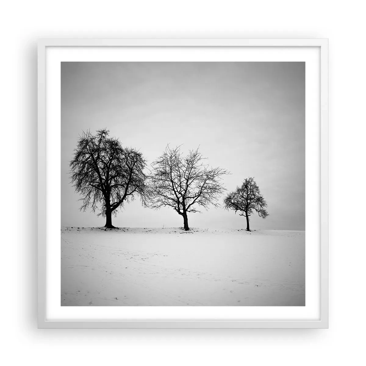 Poster in een witte lijst - Waar dromen ze over? - 60x60 cm