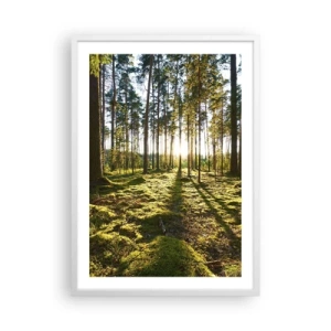 Poster in een witte lijst - … Achter de zeven bossen - 50x70 cm