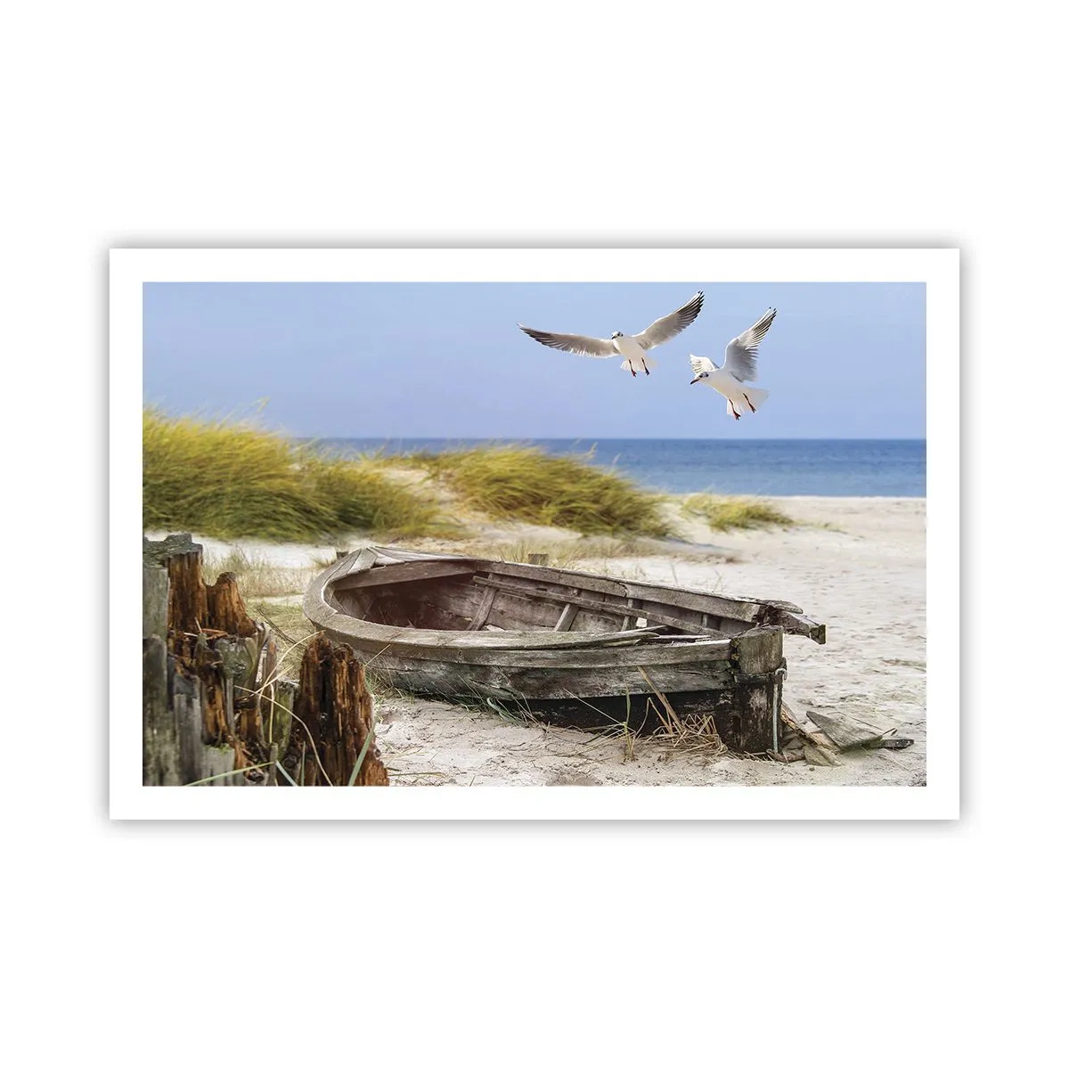 Poster - Badend in de wind - 91x61 cm