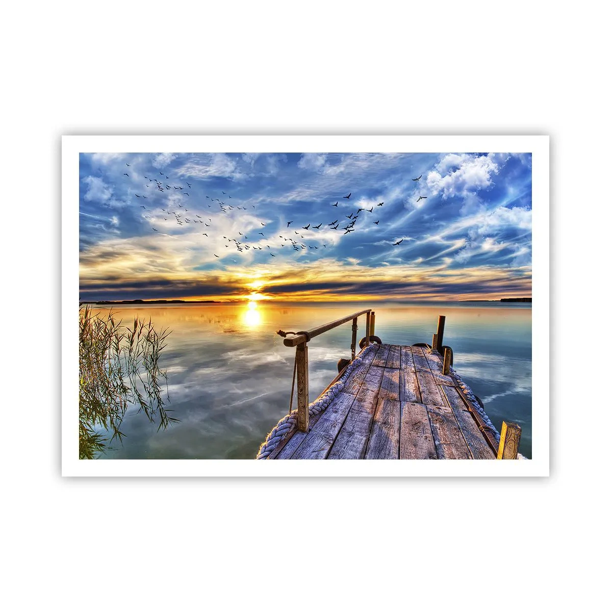 Poster - De wind gaat rusten - 100x70 cm