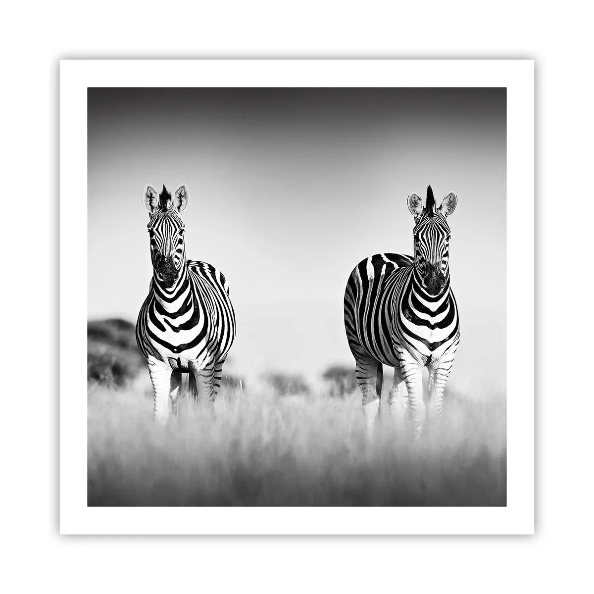 Poster - Toch is de wereld zwart-wit - 60x60 cm