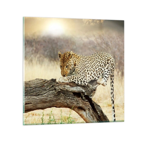 Schilderen op glas - Ik ga mijn eigen weg - 70x70 cm