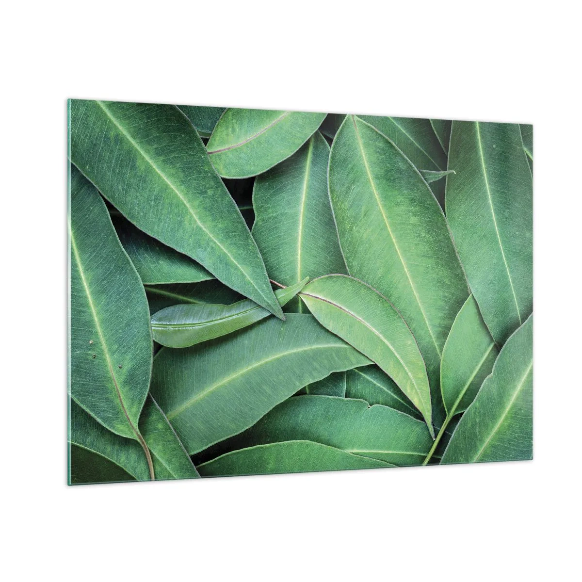 Schilderen op glas - Sappig en fris - 100x70 cm