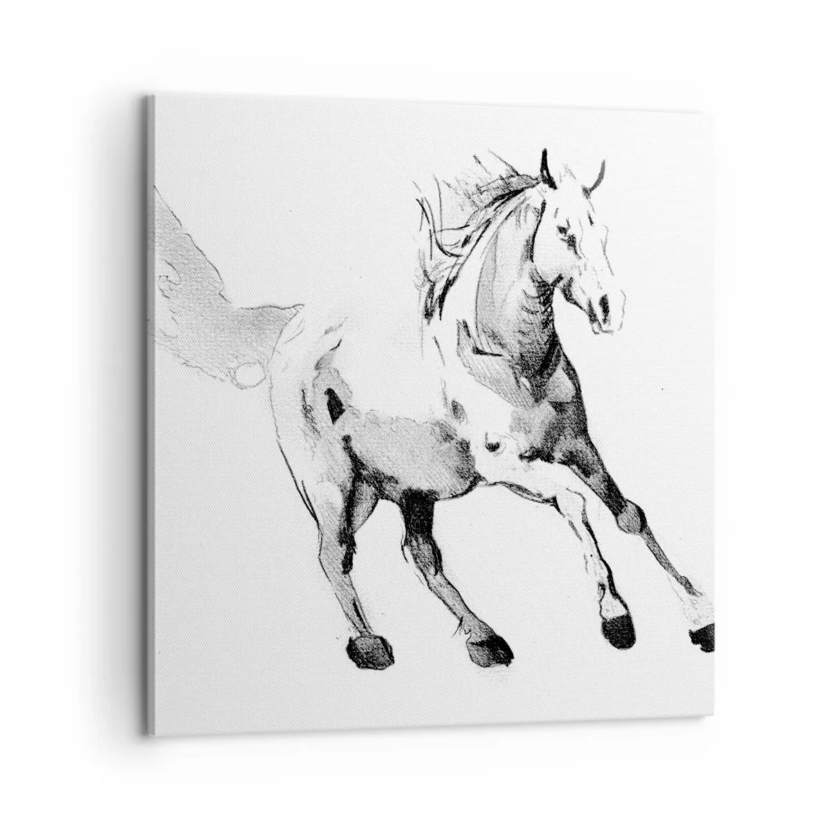 Schilderen op canvas - Ongetemde ziel - 60x60 cm