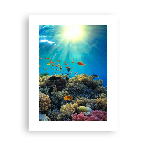 Poster - Onderwater schatten - 30x40 cm