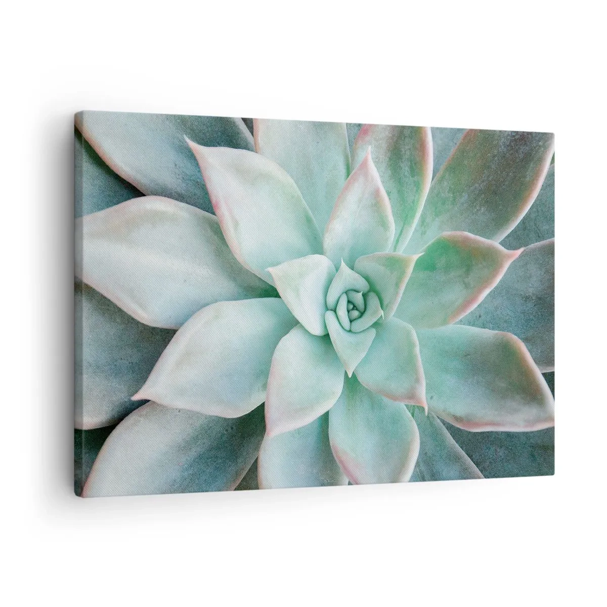 Schilderen op canvas - Close-up van een groene vetplant - 70x50cm - Het hart van de woestijn - Moderne wanddecoratie voor woonkamer en slaapkamer ARTTOR