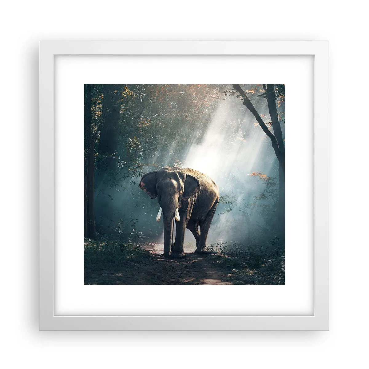 Poster in een witte lijst - Een ontspannen wandeling - 30x30 cm