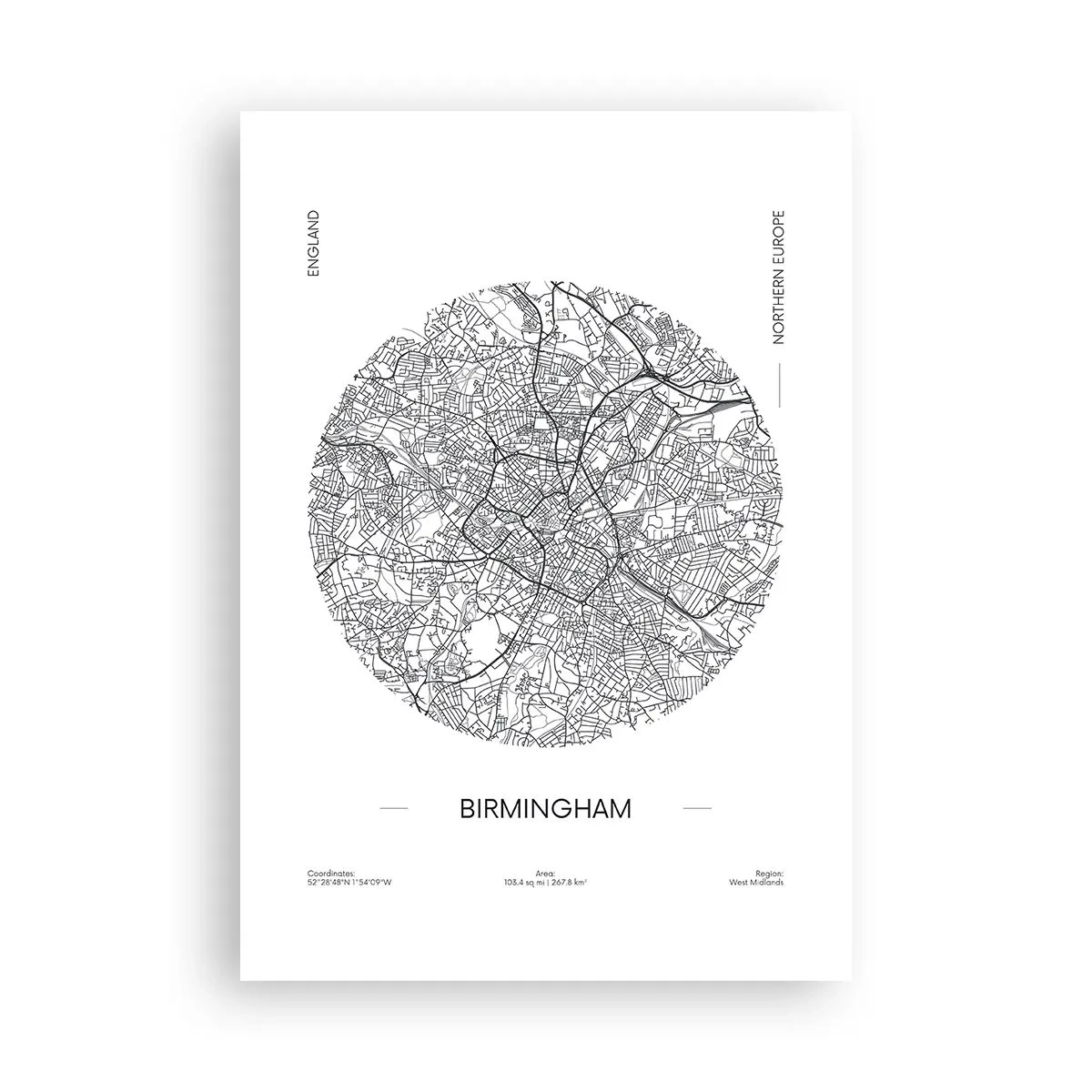 Poster - Anatomie van Birmingham - 70x100 cm