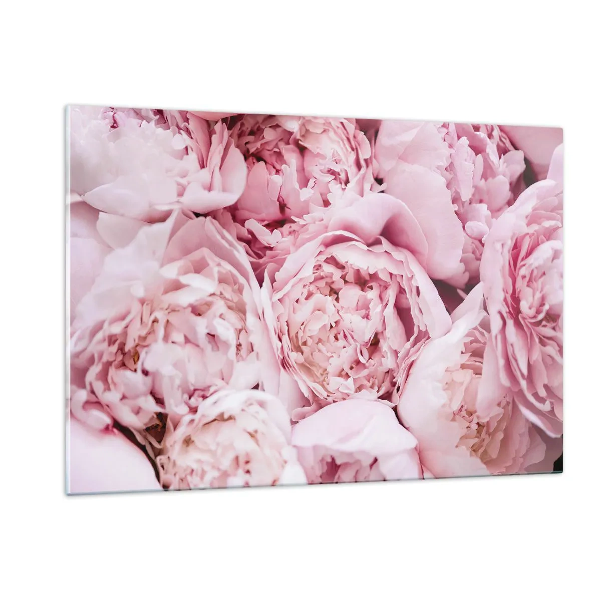 Schilderen op glas - Knuffelend en geurig - 120x80 cm
