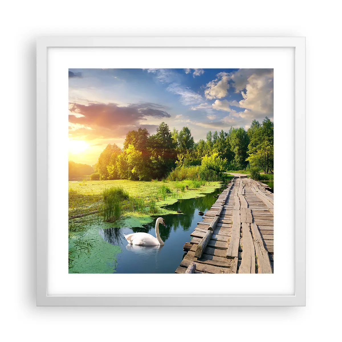 Poster in een witte lijst - Zomer, zomer overal - 40x40 cm