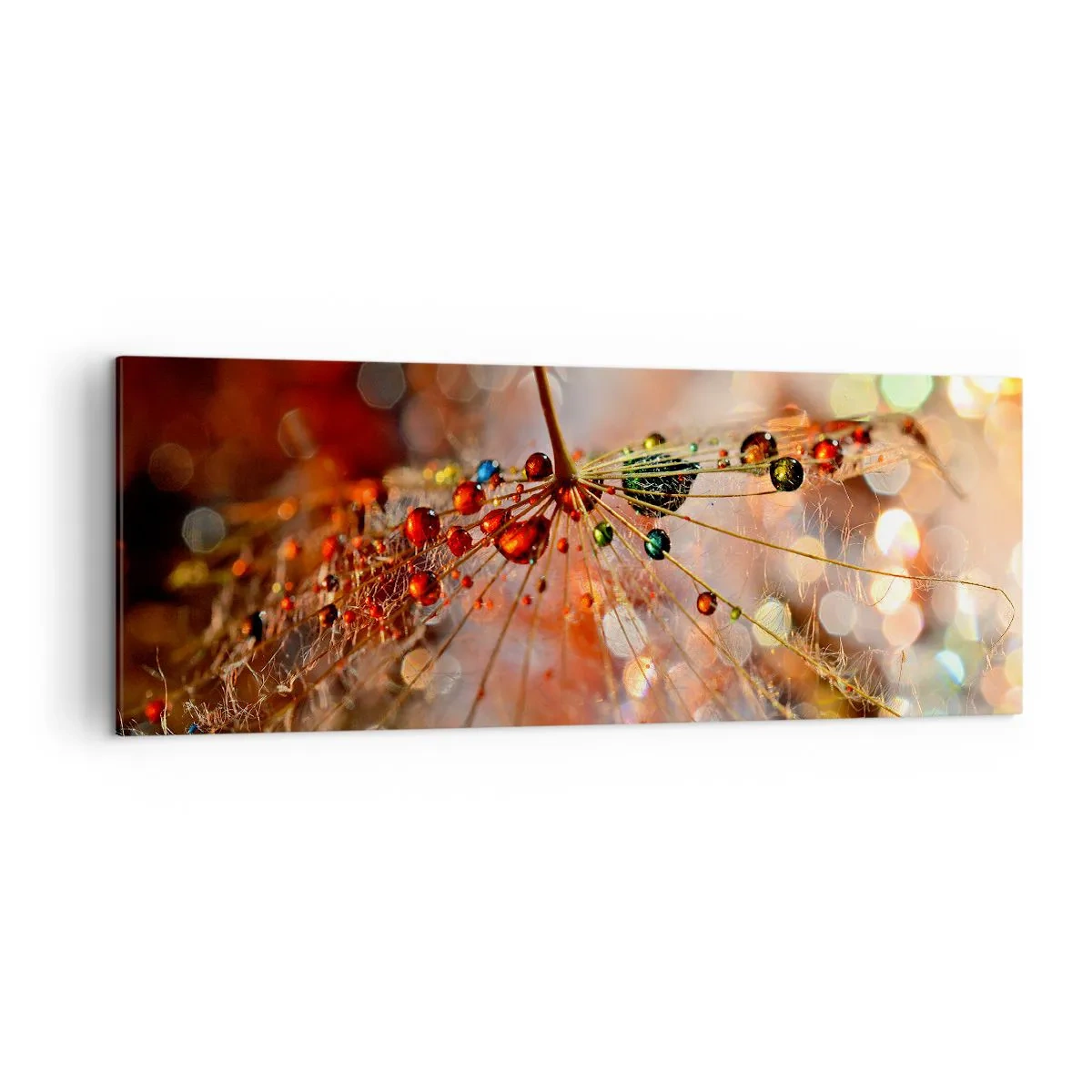 Schilderen op canvas - Geregen op een spinnendraad - 140x50 cm